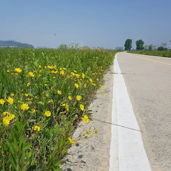 석적체육공원 사진 4