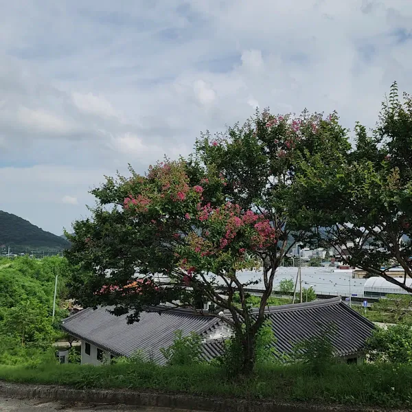 성주향교 사진 4