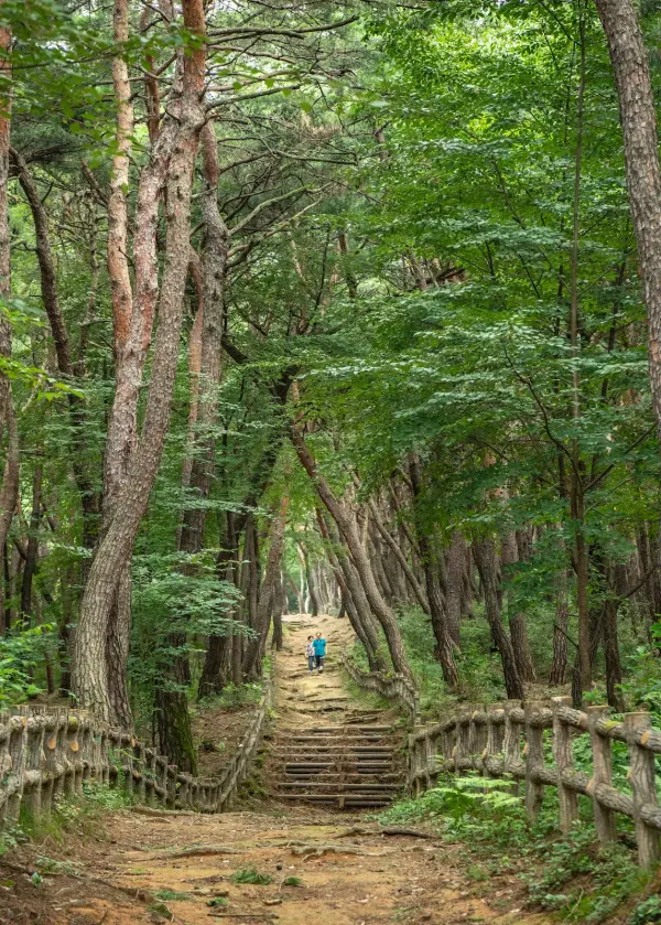 경주 정강왕릉 사진 2