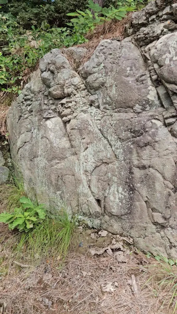경주석장동암각화 사진 4