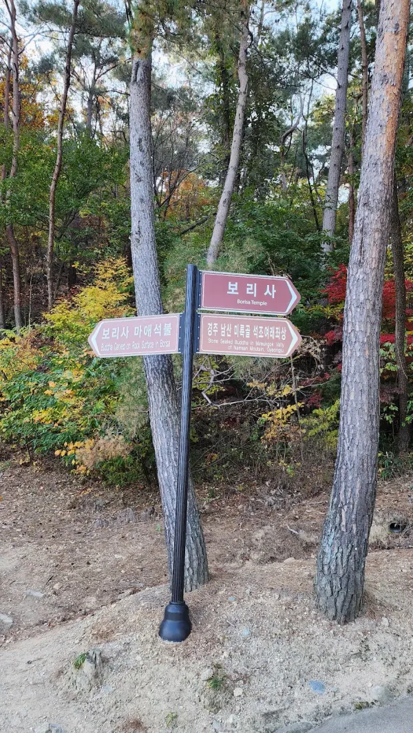 경주 남산 미륵곡 석조여래좌상 사진 5