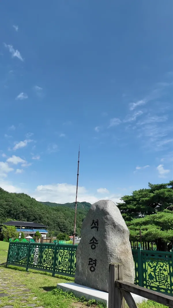 예천 천향리 석송령 사진 3