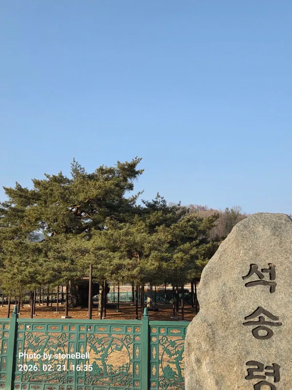 예천 천향리 석송령 사진 4