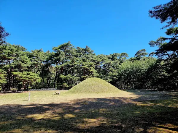 경주 경애왕릉 사진 3