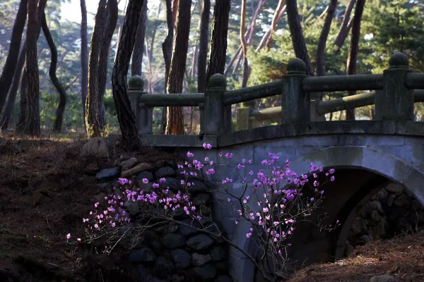 경주 경애왕릉