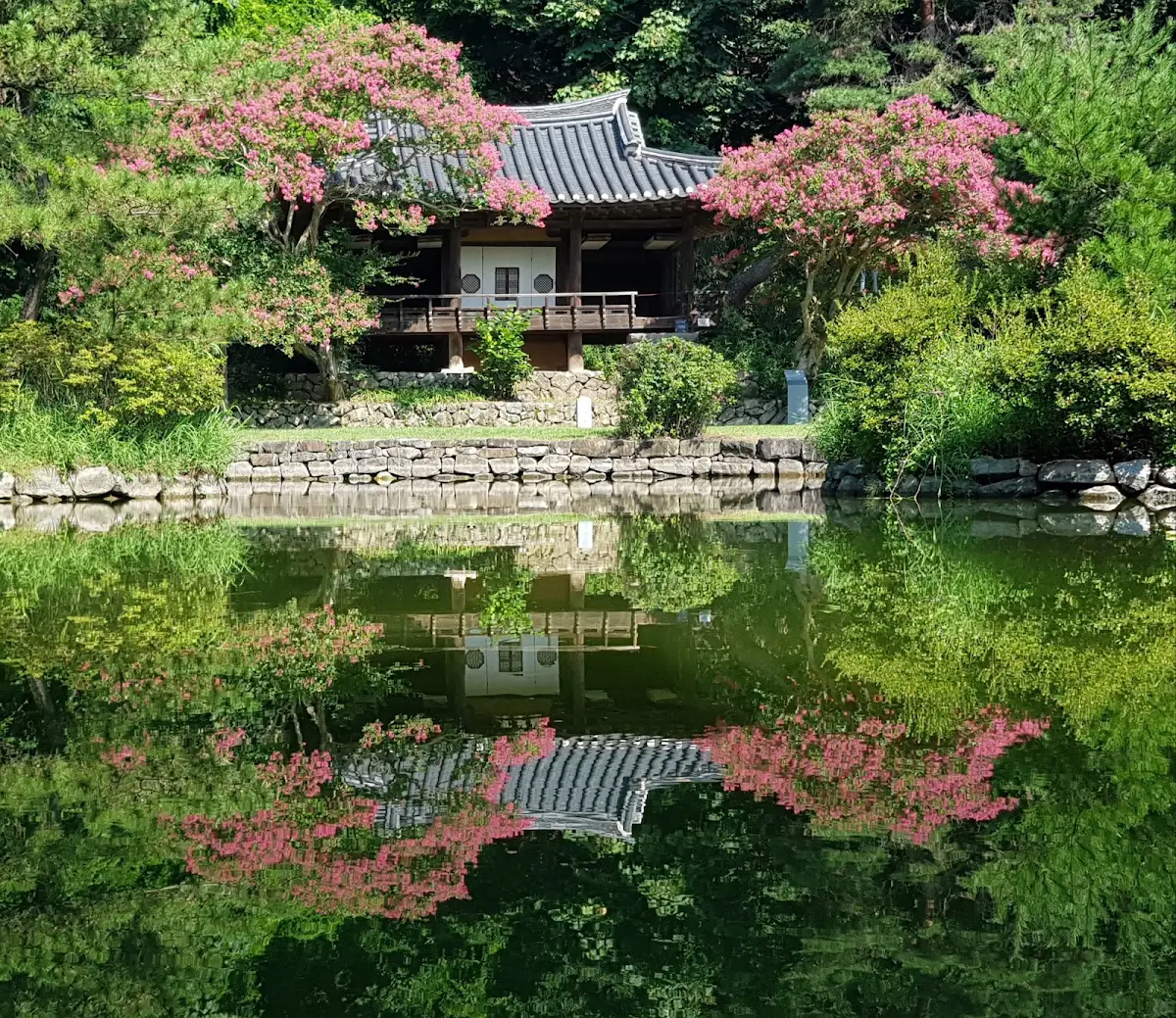 안동 체화정
