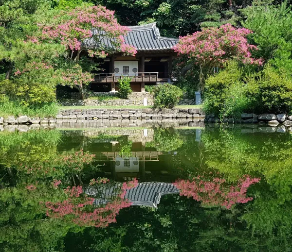 안동 체화정