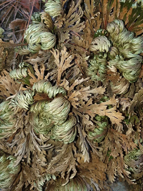 빙계서원 사진 5