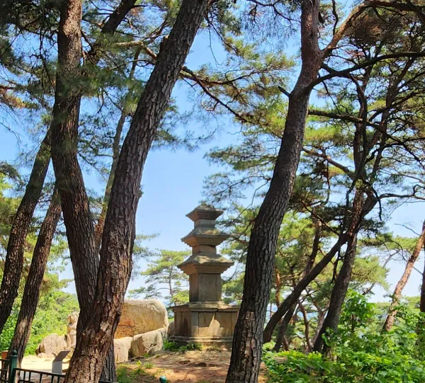 경주 남산 탑곡 마애불상군 사진 3