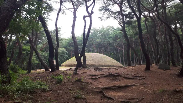 경주 헌강왕릉 사진 4