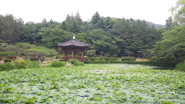 경주 헌강왕릉 사진 2