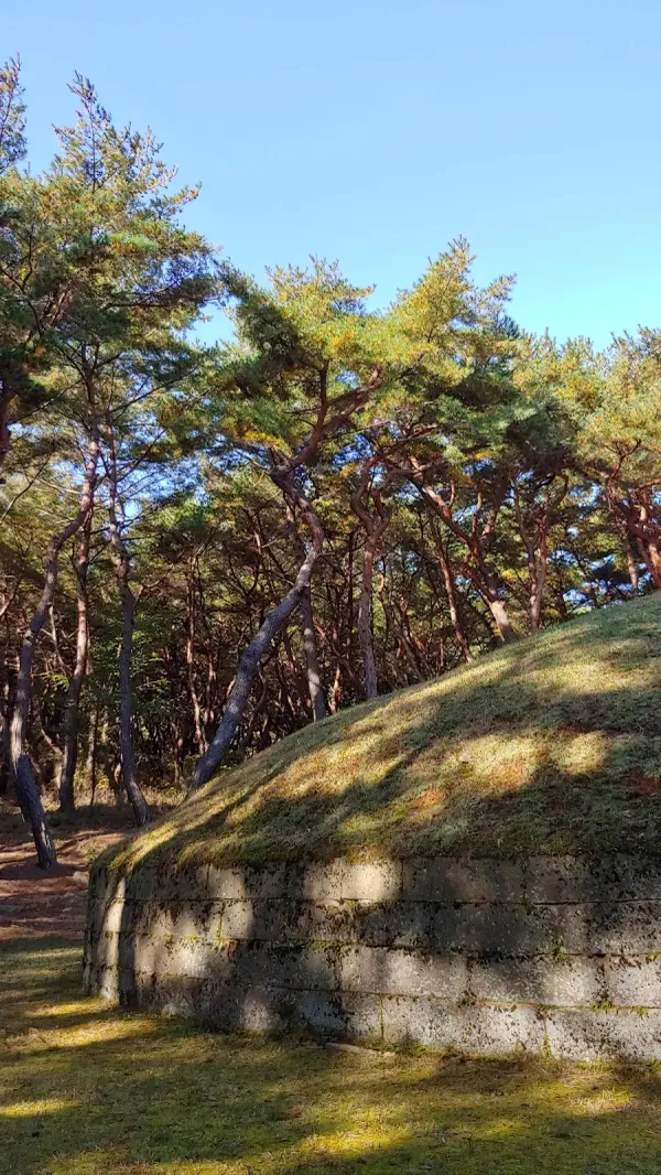경주 헌강왕릉 사진 3