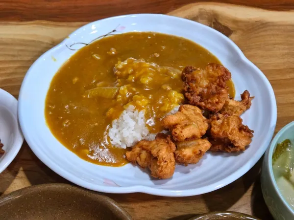オサカカレーブンシクタンの写真3