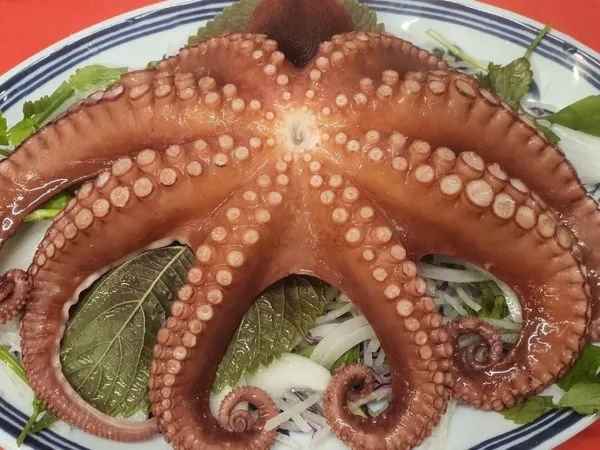 イクソンドンチャガルチ 本店の写真5