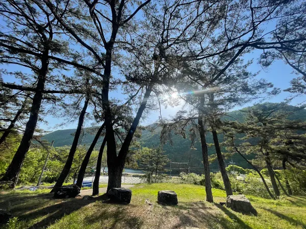 고산서원(안동) 사진 2
