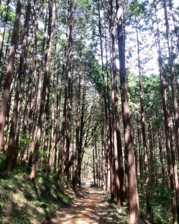 プサン子供大公園の写真2