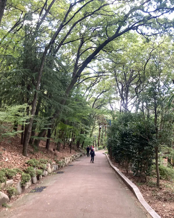 プサン子供大公園の写真5