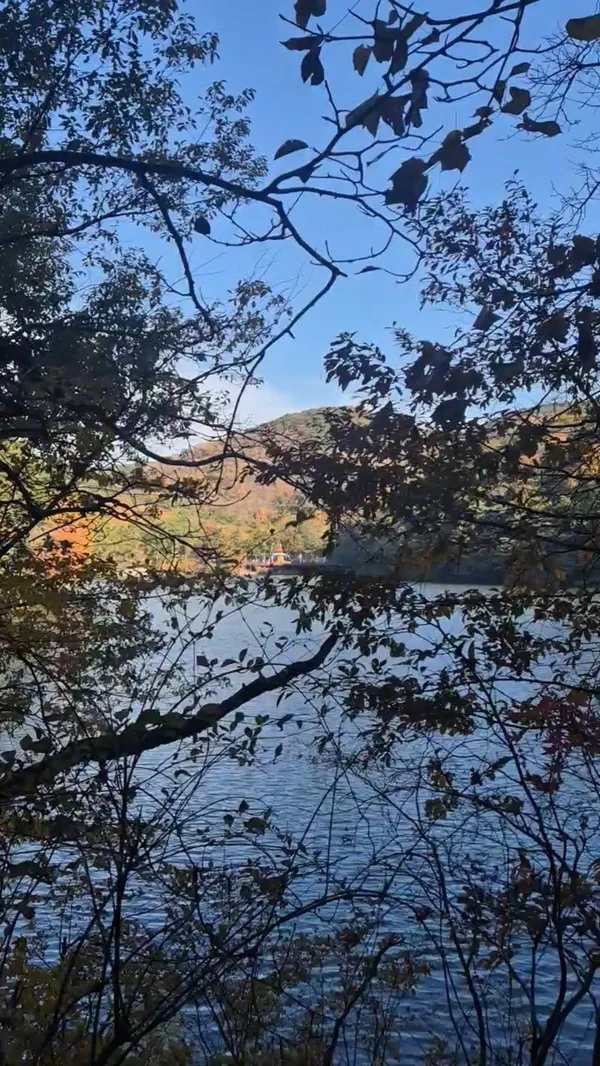 プサン子供大公園の写真3