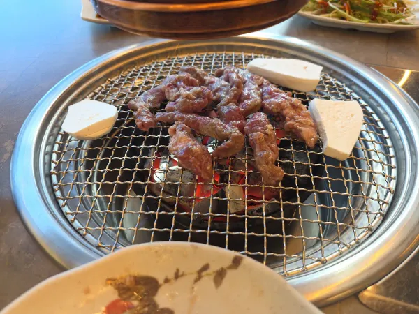 유명갈매기 사진 3