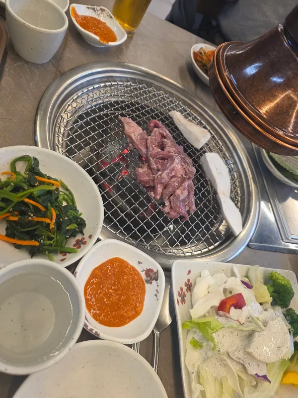 유명갈매기 사진 4