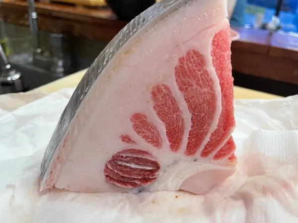 오대양참치 사진 4