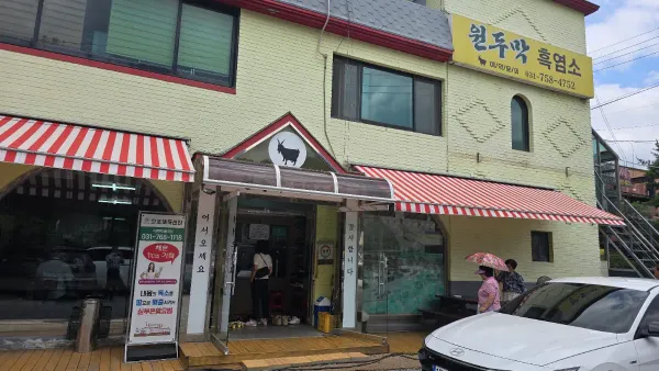 원두막 흑염소 사진 4