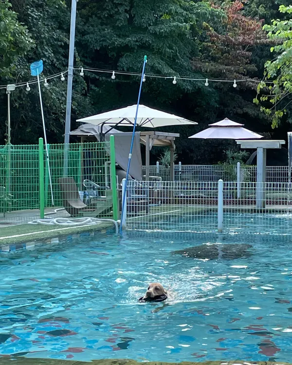 용인 처인 카페 15곳