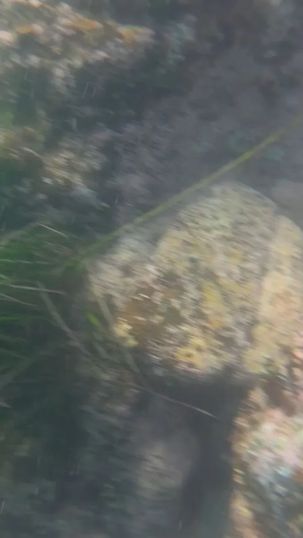 ヨンファ海水浴場の写真5