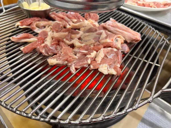 주남오리알