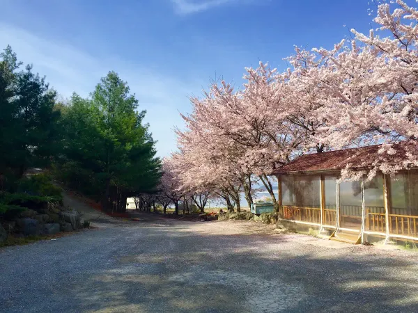 청송해변집