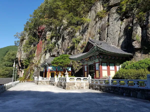 고구려