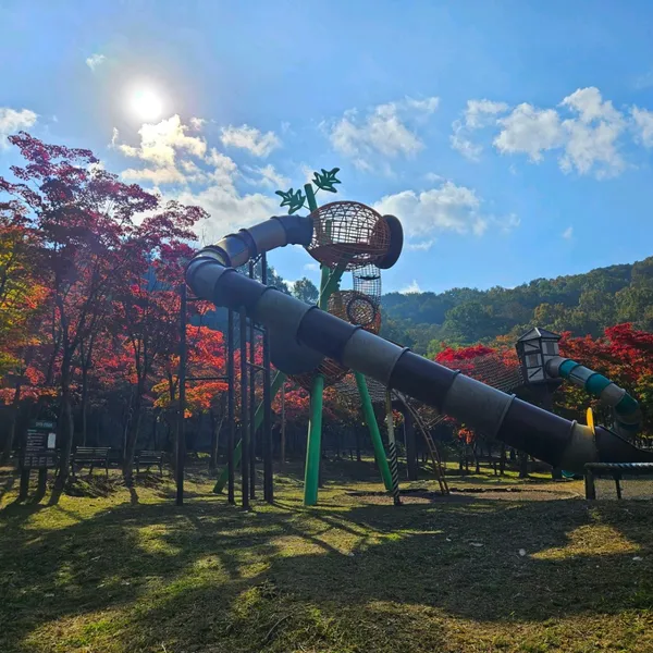 세종 가볼만한 곳 9곳