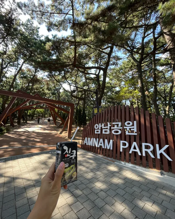 アムナム公園の写真5