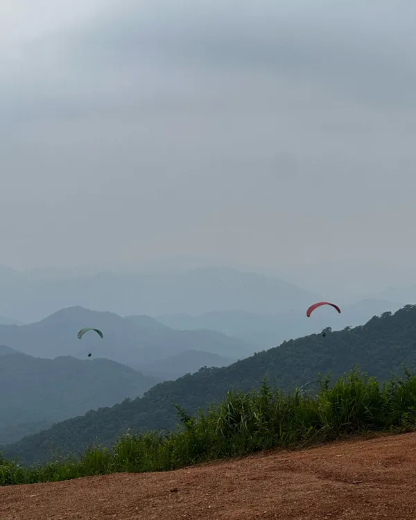 유명산
