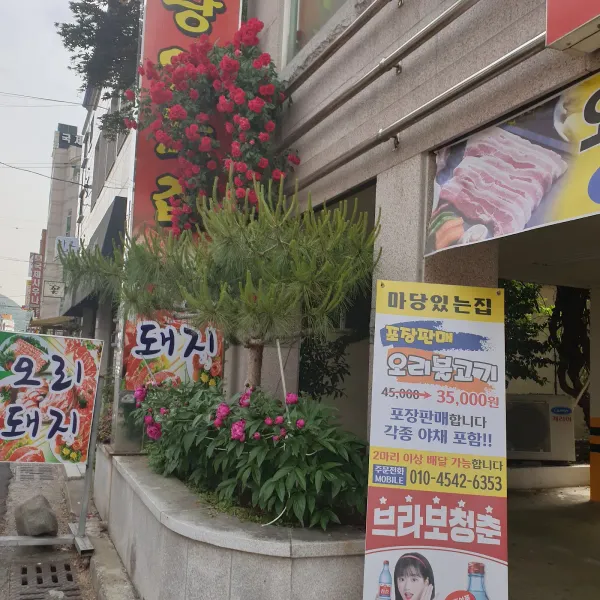 마당있는집 사진 5