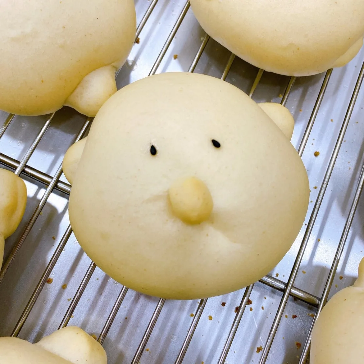 パンのヒャンヒョンのメイン写真