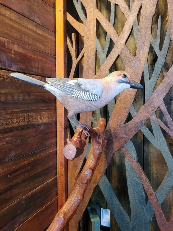 カフェスプの写真4