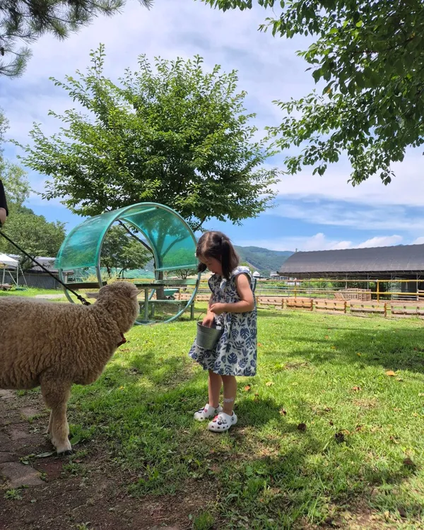 トキラン ヤンイランの写真2