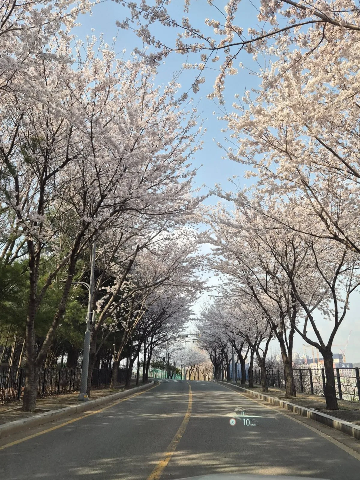 ウィワング レイルパークのメイン写真