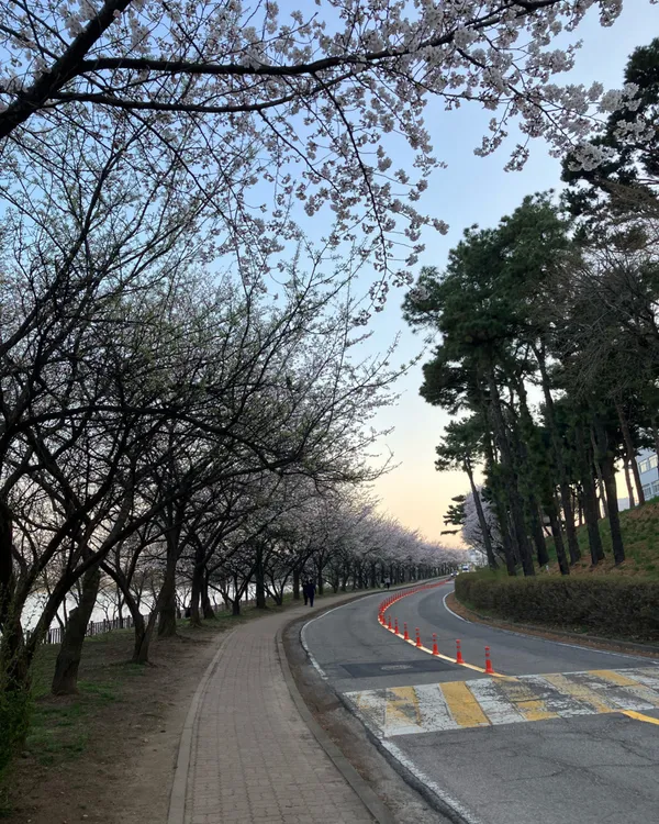 ソホッコッメ公園の写真2