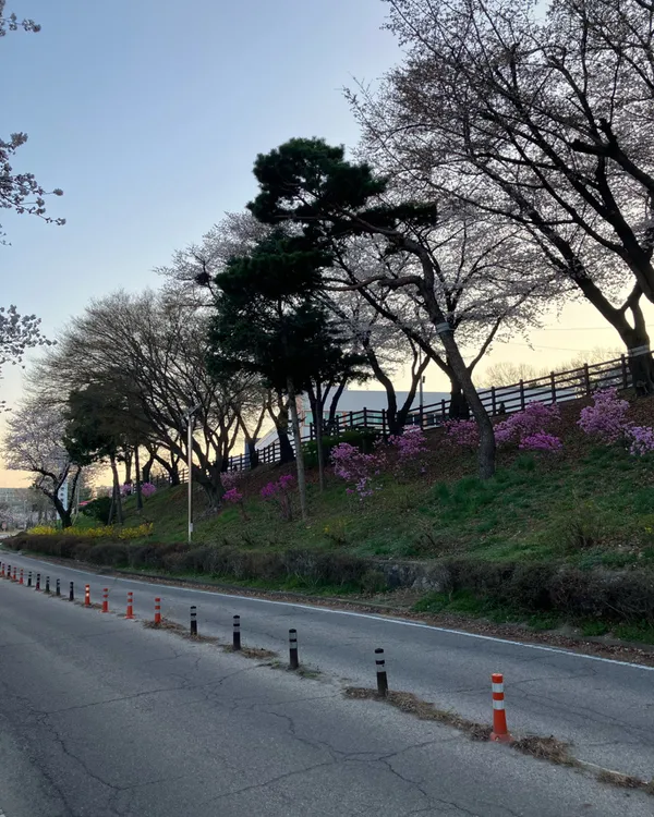 ソホッコッメ公園の写真3