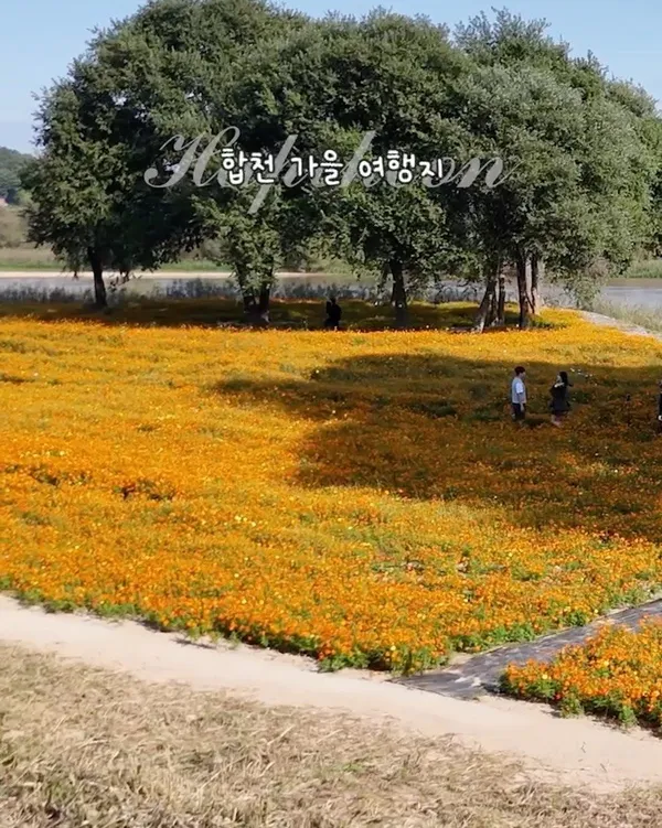 핫들생태공원