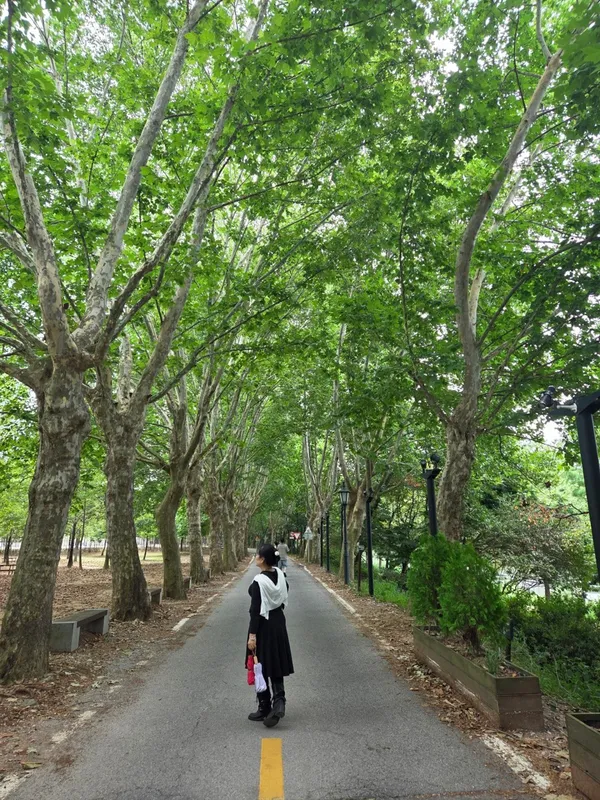 ハットゥル生態公園の写真3