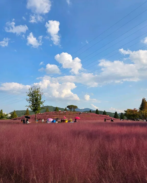 ハットゥル生態公園の写真4