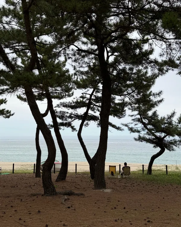 サチョン海水浴場の写真3
