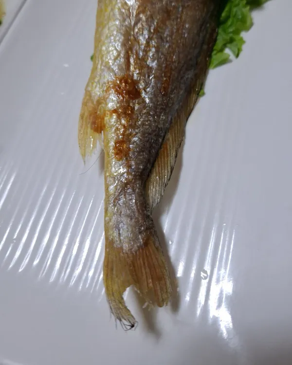 한국관 사진 4