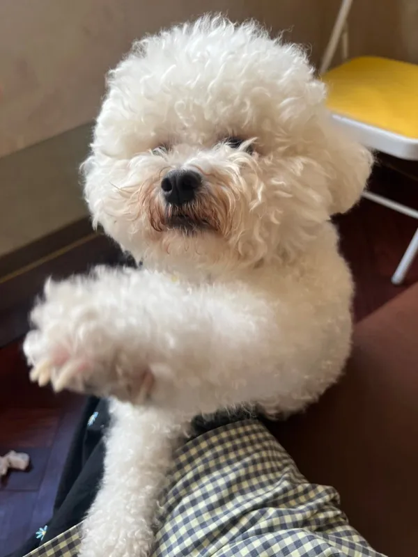 イウンの写真3