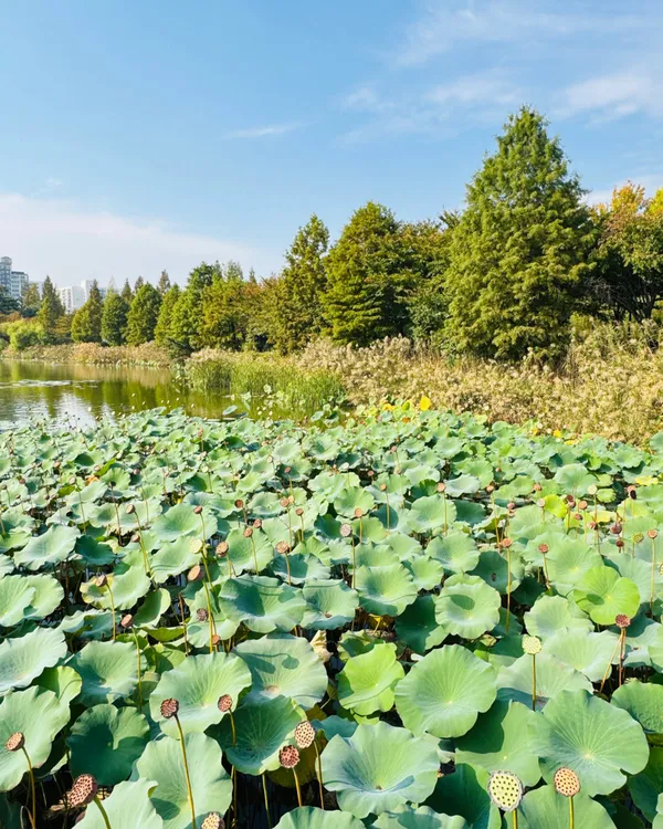 マンソク公園