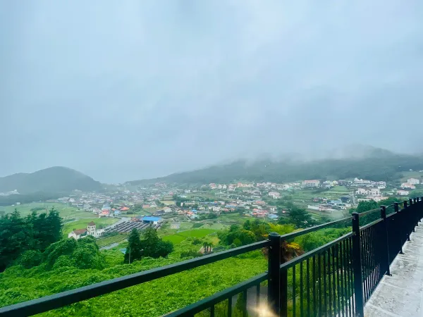 할로브리즈 사진 4