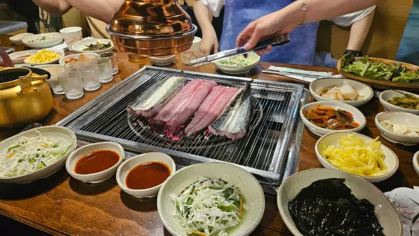 풍천장어 사진 3
